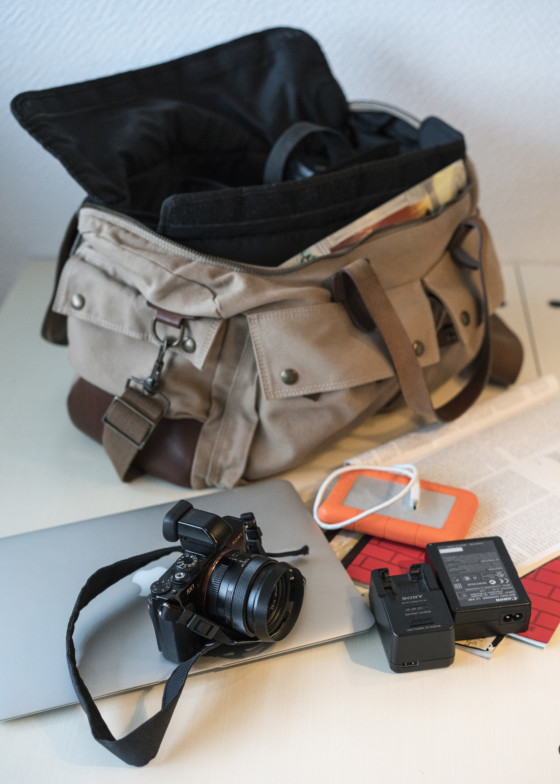 SIDRUM D2 DSLR Bag with Adjustable Shoulder Strap Waterproof - Breathable -  Anti Shock Camera Bag - SIDRUM : Flipkart.com