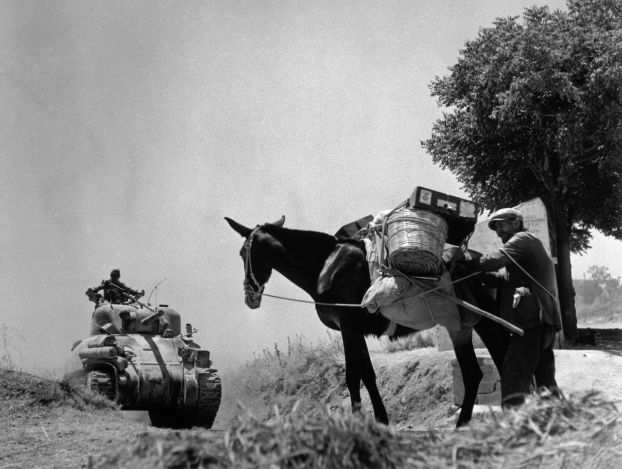 The Allied invasion of Sicily • Robert Capa • Magnum Photos