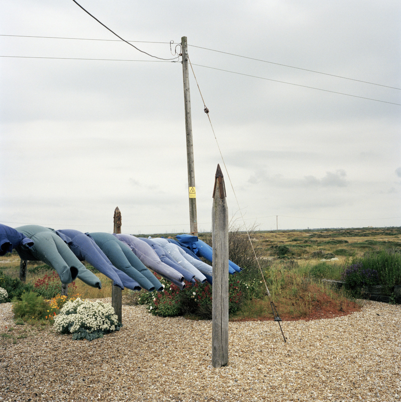 Derek Jarman's Garden • Magnum Photos
